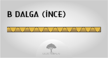 B Dalga (İnce)