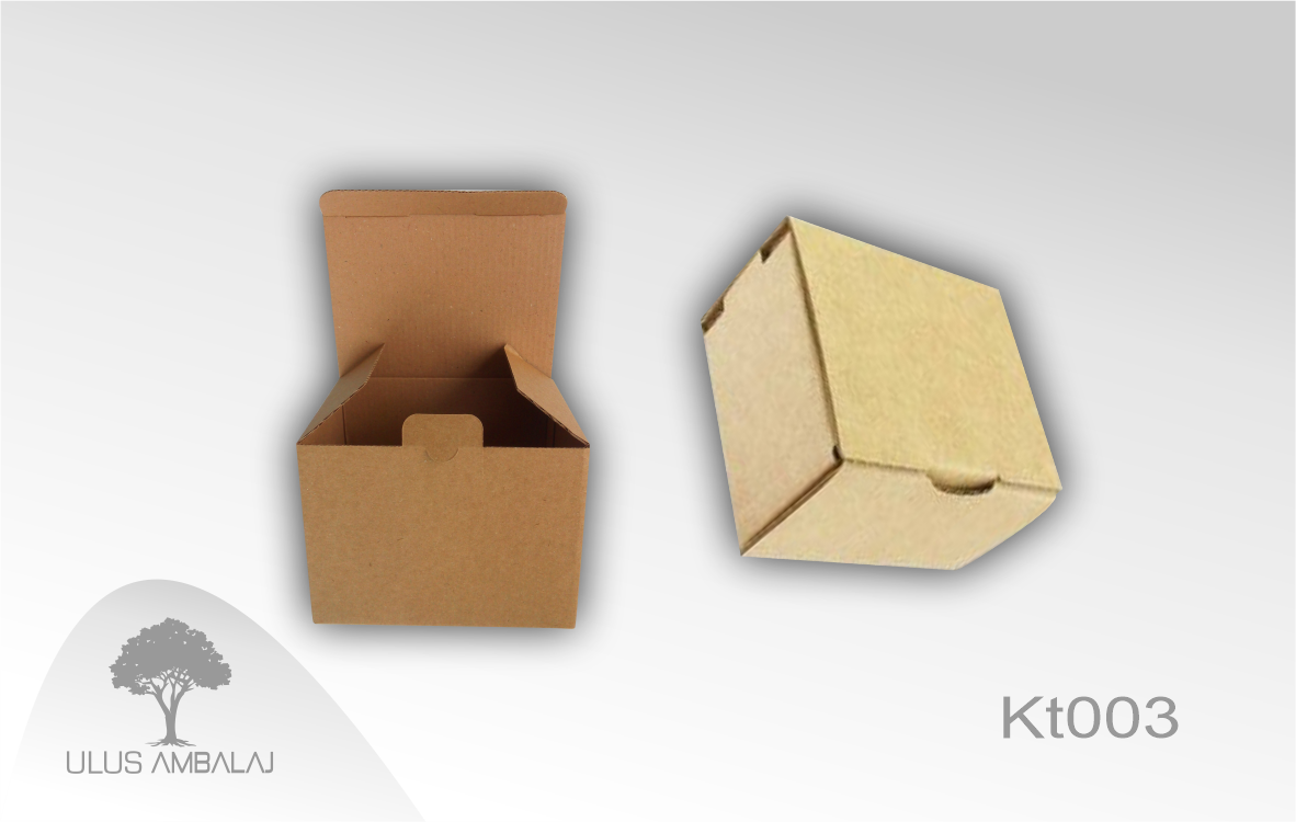 Kutu Üretimi - Mikro Kutu Üretimi